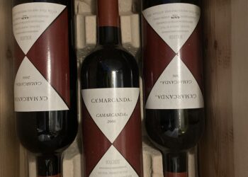 Ca marcanda 2006 a Silvio Grasso Barolo 2004